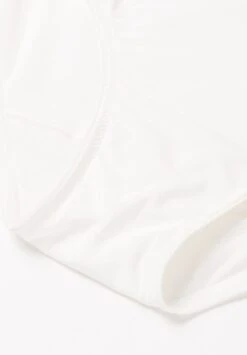 Chantelle Every Curve-High-Waisted Support Full Brief - Slip - Milk -Triumph 4e37f80561a64b968ff76b501dda4a26